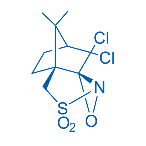 (+)-(8,8-Dichlorocamphorylsulfonyl)oxaziridine