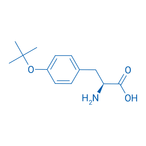 H-Tyr(tBu)-OH